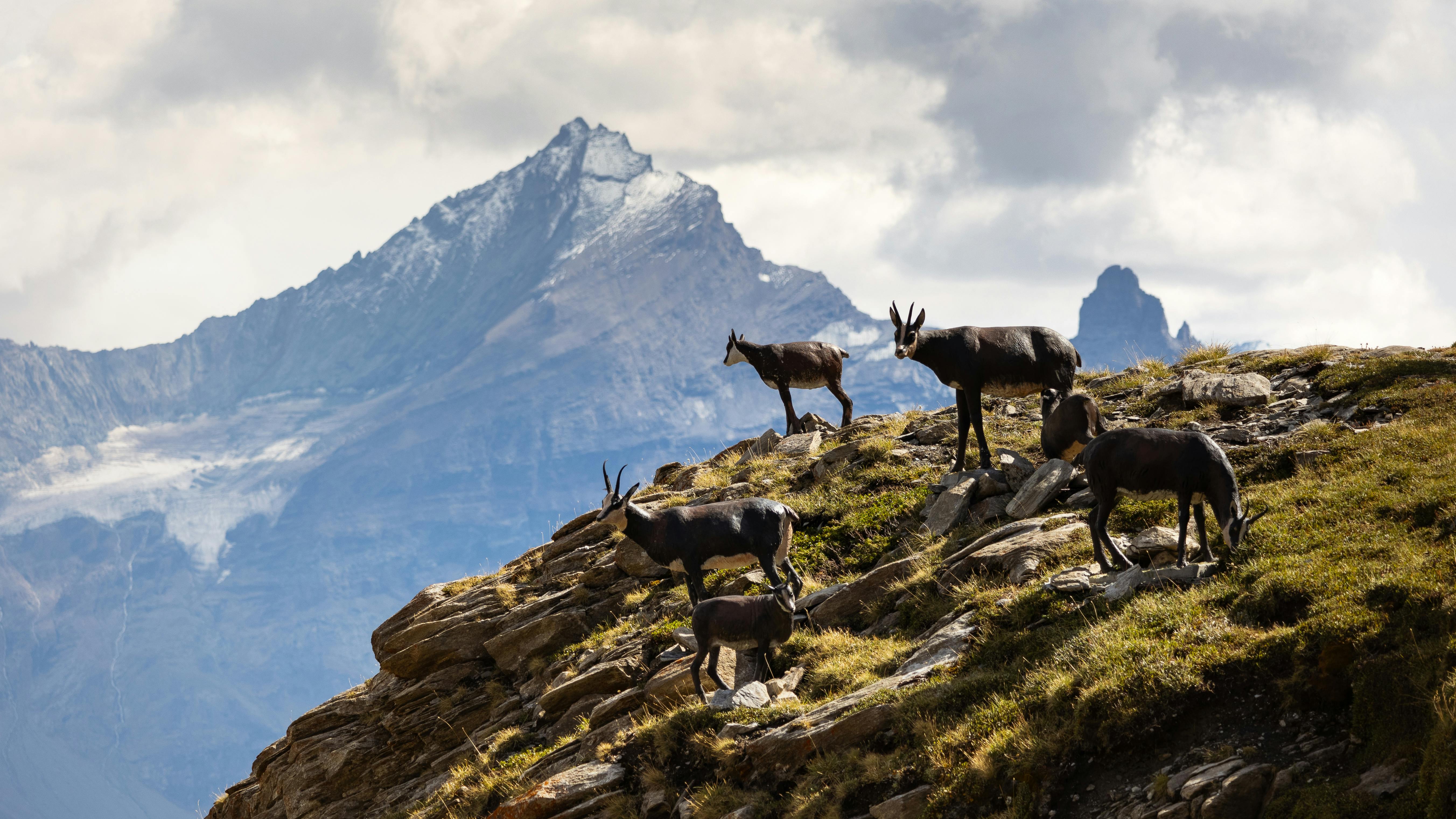 Valle D’Aosta e i suoi Mercatini